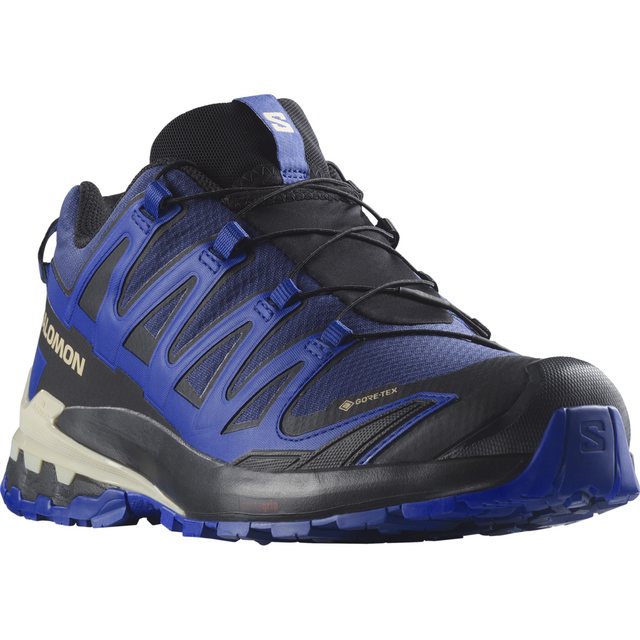 Salomon XA PRO 3D V9 GORE-TEX Trailrunningschuh wasserdicht (blau)