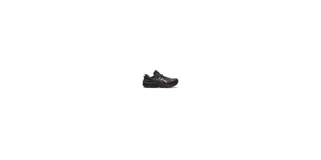 Asics GEL-Trabuco 11 GTX Laufschuh (schwarz)