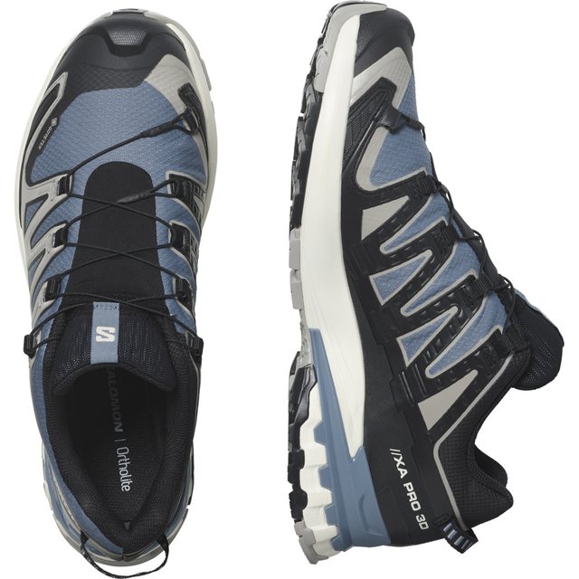 Salomon XA PRO 3D V9 GORE-TEX Trailrunningschuh wasserdicht (grau)